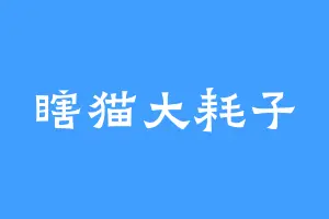 瞎猫大耗子