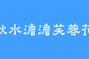 秋水澹澹芙蓉花