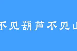 不见葫芦不见山