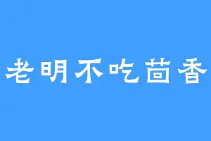 老明不吃茴香