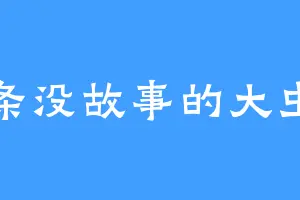 一条没故事的大虫虫