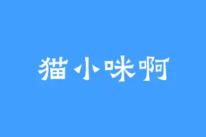 猫小咪啊