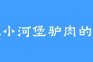 爱吃小河堡驴肉的洛星