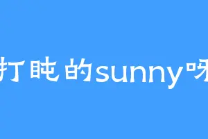 打盹的sunny呀