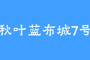 秋叶蓝布城7号