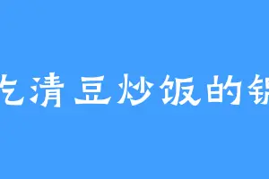 爱吃清豆炒饭的锦儿