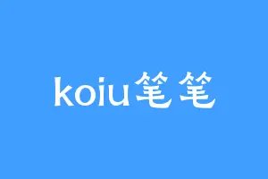 koiu笔笔
