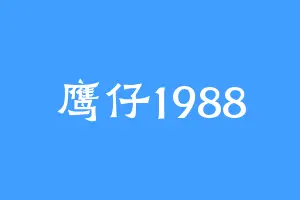鹰仔1988