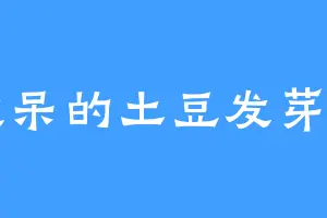 发呆的土豆发芽了