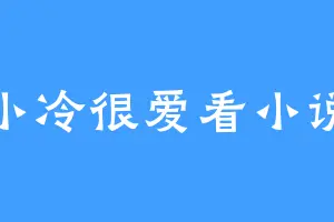 小冷很爱看小说