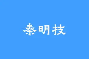 秦明枝