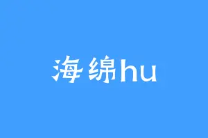 海绵hu