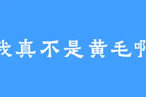 我真不是黄毛啊