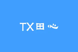 TX田心