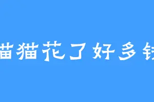 猫猫花了好多钱