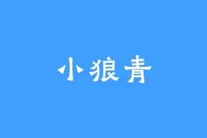 小狼青