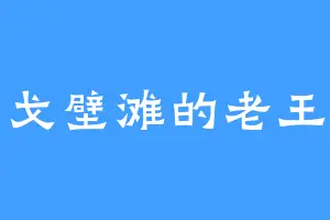 戈壁滩的老王