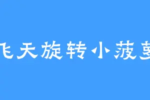 飞天旋转小菠萝