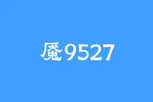 魇9527
