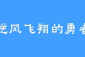 逆风飞翔的勇者