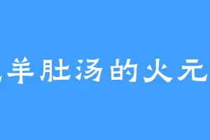 爱吃羊肚汤的火元圣女