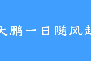 大鹏一日随风起