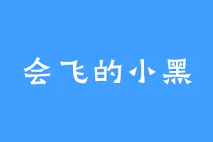 会飞的小黑