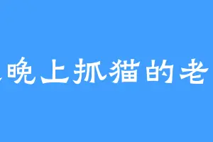 喜欢晚上抓猫的老鼠王