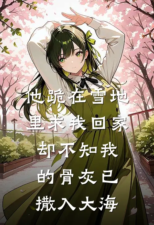 他跪在雪地里求我回家，却不知我的骨灰已撒入大海(陆知舟沈念)完本小说_热门的小说他跪在雪地里求我回家，却不知我的骨灰已撒入大海陆知舟沈念