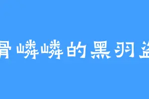 傲骨嶙嶙的黑羽盗一