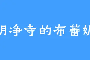 明净寺的布蕾妮