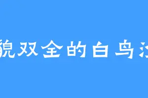 才貌双全的白鸟沙罗