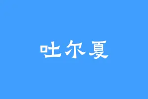 吐尔夏