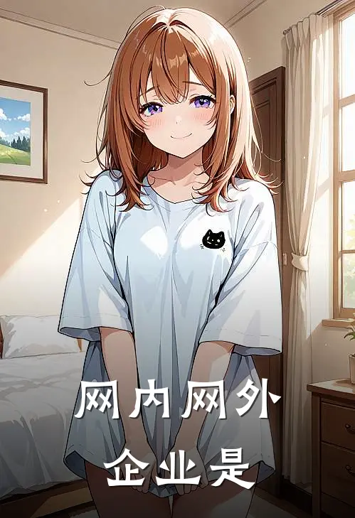 网内网外企业是