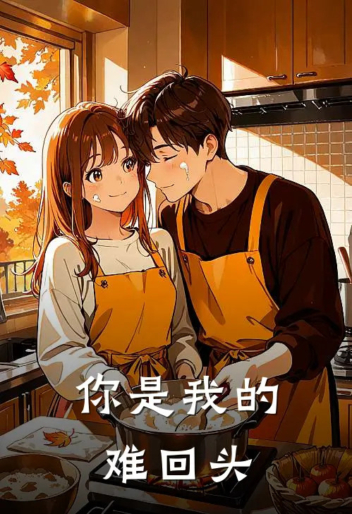 你是我的难回头(傅云城沈念)完本小说_全本免费小说你是我的难回头傅云城沈念