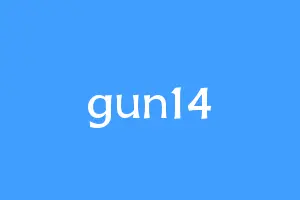 gun14