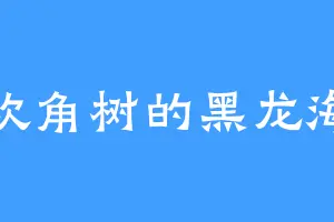 喜欢角树的黑龙海皇