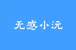 无感小沅