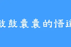 鼓鼓囊囊的悟道
