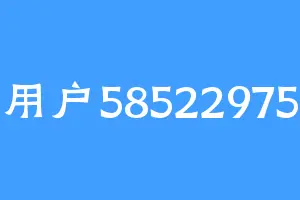 用户58522975