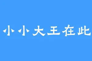 小小大王在此