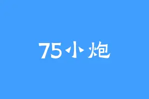 75小炮