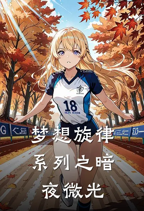 梦想旋律系列之暗夜微光