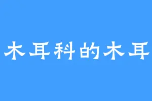 木耳科的木耳