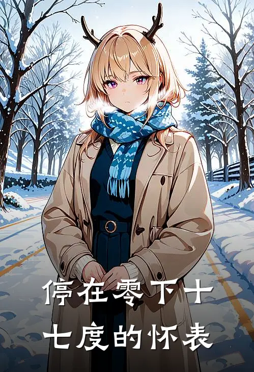 停在零下十七度的怀表