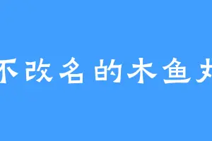 永不改名的木鱼丸子