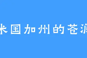 米国加州的苍澜