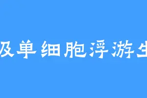 超级单细胞浮游生物