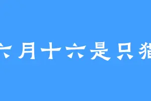 六月十六是只猫