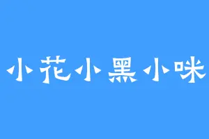 小花小黑小咪
